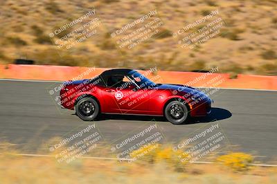 media/Nov-16-2024-Extreme Speed (Sat) [[6587d07cc4]]/Purple Group/Session 3 (The Bowl)/